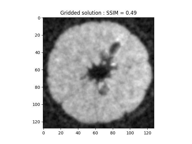 Gridded solution : SSIM = 0.49
